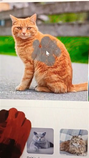 mjau mjau tren Google katze und joint bitte bei notrufhamburg Server code ke394rah