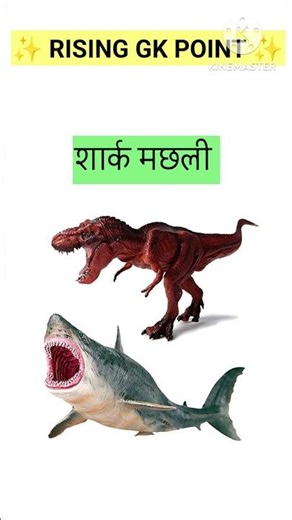 || Gk Question || Gk in Hindi || Gk Question and Anser || Gk Quiz ||