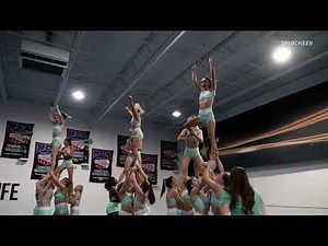 Take On Practice With Cheer Sport Sharks - Great White Sharks