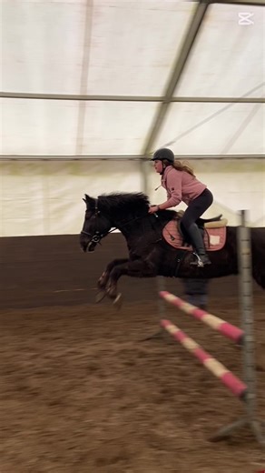 Bohun🚀🌷 📸@_lena_eq6 & @M_7eq @nadia._.equestrian._._