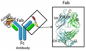 NVIDIA AI-Powered Rational Vaccine Generation: A Step-by-Step Expedition with Top Tools