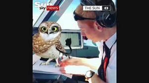 Pilot dances in cockpit Snapchat