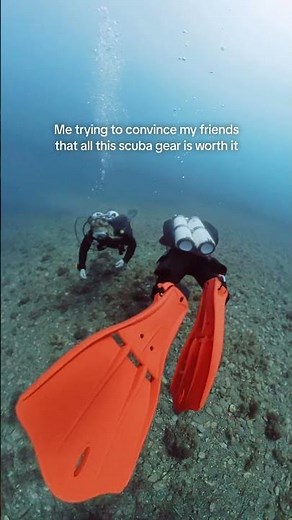 Sometimes you have to try it to believe it 🤷🏻‍♀️ #scubagear #scubadiving #scuba #diving