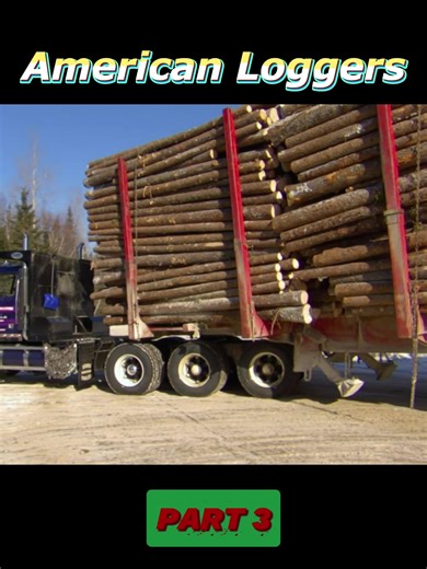 Exploring Heavy Machinery in Logging: Nature vs Machine