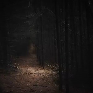 The Shadow In The Woods The story only gets darker from here… dare to find out what happens next in the comments. | Mr Nightmare Stories