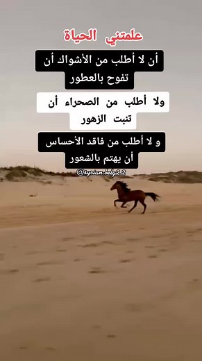 A Majestic Brown Horse Galloping in the Desert