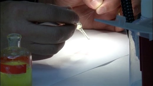 CU Law School reviewing 51 criminal cases for potential wrongful convictions