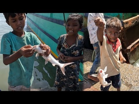 💥🎣Amazing Kids Fishing Skills! Catching Big Fish with Just a Line🌏😇