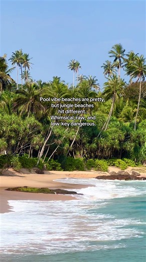 Jungle beaches of Sri Lanka 🌴 #jungle #srilanka #junglebeach #wildnature