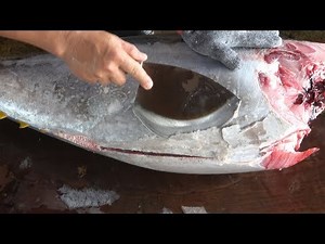 How to Fillet Yellowfin Tuna