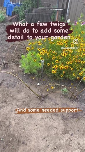 Whimsical Garden Pathways on a Budget