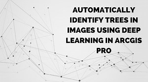 Automatically Identify Trees in Images Using Deep Learning in ArcGIS Pro
