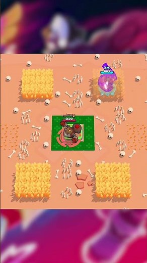 Let’s Play Hide & Seek👀 (Brawl Stars)