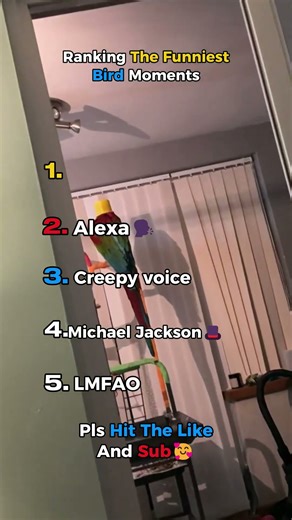 Ranking The Funniest Bird Moments🦅🦤