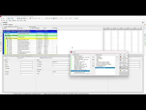 Earned Value Management (EVM) Layout in Primavera P6