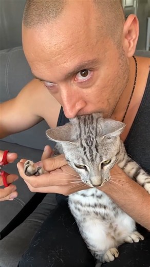 Essential cat care tips every owner should know