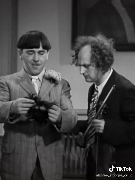 Larry finds a tarantula in the three stooges follow my second account @the_muppetshow #thethreestooges #comedy #foryou