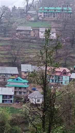 fresh ranfall 🤌❤️