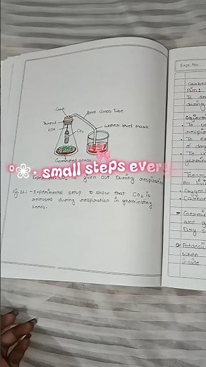 Class 10 Science Practical File (NIOS) 📚 | Day 6/45 Study Challenge #nios #boardexampreparation