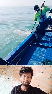 A clever method for pulling out Nails | Mouse trap 2022