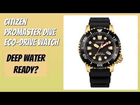 REVIEW (2026): Citizen Promaster Dive Eco-Drive Watch. Features