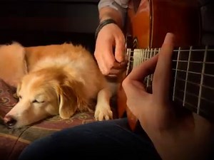 One Last Wish from Casper w/ Maple The Pup | AcousticTrench