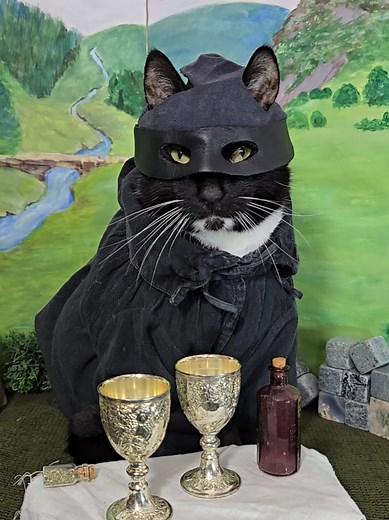 Funny Cat Cosplay as Dread Pirate Roberts