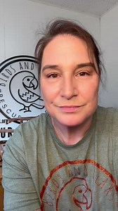 Tzippy is an 11 year old Indian ringneck parrot who has not really been handled at all for his life. He’s been cage bound for most of his life. He needs somebody who will spend some time with him and earn his trust and help him understand life with some freedom. #parrotrescue #birdbitch #birdsandbeaksnation #indianringneckparrot #parrotrescue #birdrescue Our adoption range is within 350 miles of Battle Creek, Michigan but if you’re an excellent home, we will consider homes outside of that range,