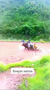 Anayat Narma on Reels