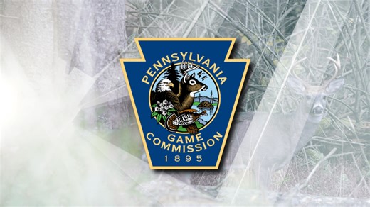 State wildlife art contest accepting submissions through July