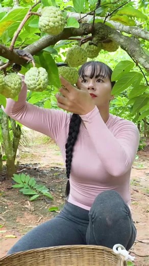 #harvesting #farmlife #garden #fruit #farm