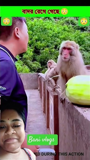 The monkey is angry 😳 #funny #viral #entertainment #viralvideo #shorts
