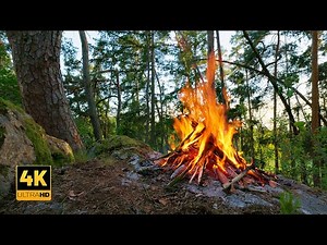 4K📺 Soothing Campfire on a Rock 🔥 Authentic Sounds of Pure Nature