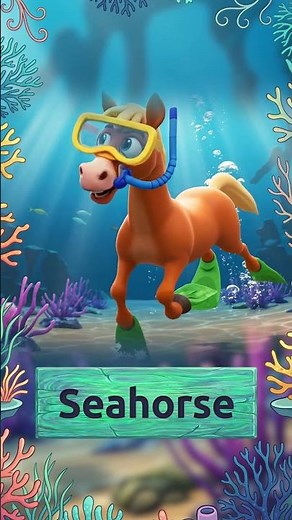 🌊✨🐴 The Seahorse. No, It’s Not a Horse 🌊🪸