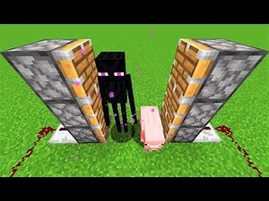 Enderman + Pig = ???