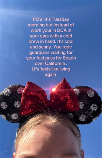Disney day 1 🐭🎢✨🏰 #disney #dca #disneyadult #disneycaliforniaadventure #soarinovercalifornia