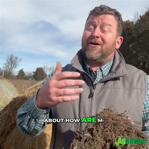 How Plants Influence Soil Biology | Managing the Rhizosphere for Better Crop Outcomes