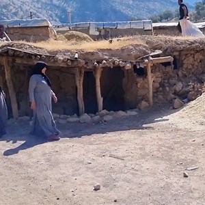 14K views · 811 reactions | Nomadic Wisdom- Preparing Winter Provisions for Sheep in Nomadic Life | Family Cooking | Facebook