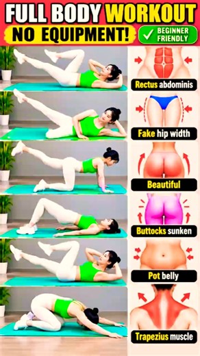 Full Body Workout at Home for Women | No Equipment, Core, Glutes & Posture #Shorts