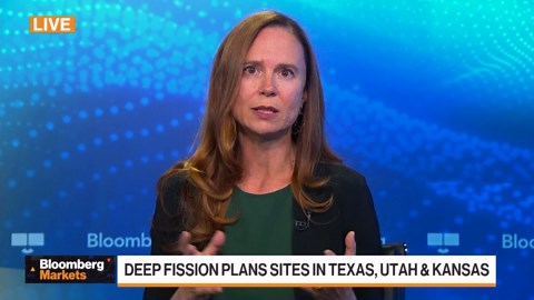 Nuclear Industry 'Froth' Will Fade in Next Year: Deep Fission CEO