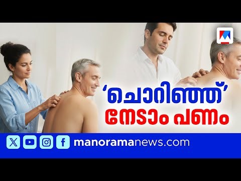 കൂടുതല്‍ ചൊറിഞ്ഞാല്‍ ഞെട്ടിക്കുന്ന ശമ്പളം; തരംഗമായി പ്രഫഷണൽ സ്ക്രാച്ചിങ് | scratching therapy