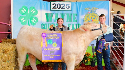 Junior Livestock Sale at 2025 Wayne County Fair breaks record