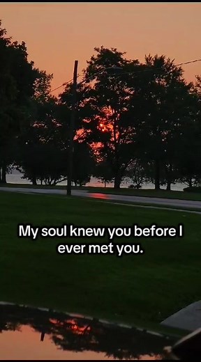 Understanding Soul Connections in Love