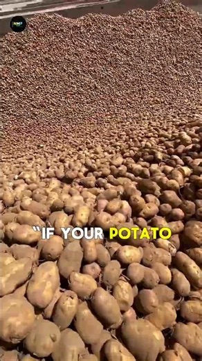 Why Do Potatoes Turn GREEN? 🥔🤯 | Potato Science Explained #viral #food #subscribe