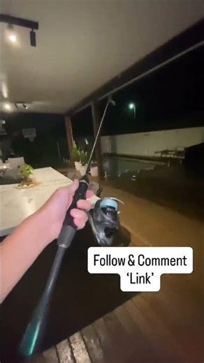 ⚠️ Don’t scroll — this is THAT viral Temu carbon rod everyone’s talking about 👀 Under $30