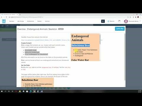 Unit 3.1.6 Endangered Animals Skeleton