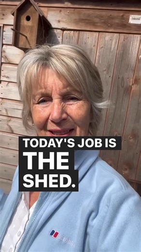 NANCY on Instagram: "Garden Shed makeover - no harmful chemicals, no fumes and very little cost. Recipe at the end. #greenliving #garden #shed #noharmfulchemicals #makeover"