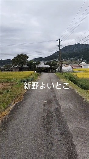 長野阿南町新野(にいの)。標高800mにある原風景。#新野 #阿南町新野 #長野県