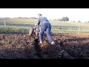 Labour avec motoculteur Honda F600 (suite).