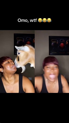 Hilarious Live Prank Reactions You Can't Miss